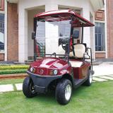 RD﹣2AC+2+D electric golf cart with AC system standard configuration